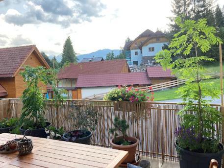 Jara Apartment- *