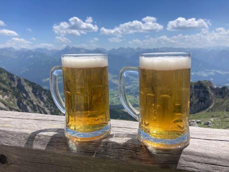 Jara Apartment- Apartment Ramsau am Dachstein